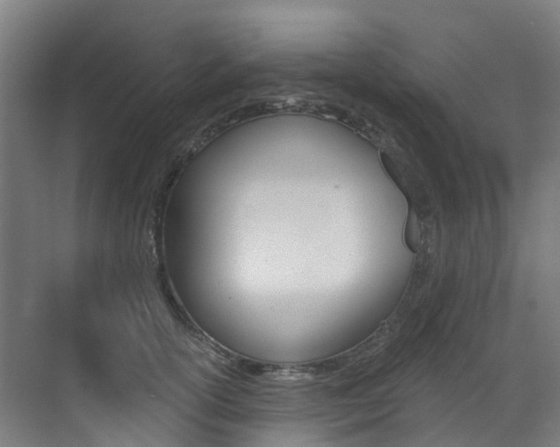 X0000072970754200607211030