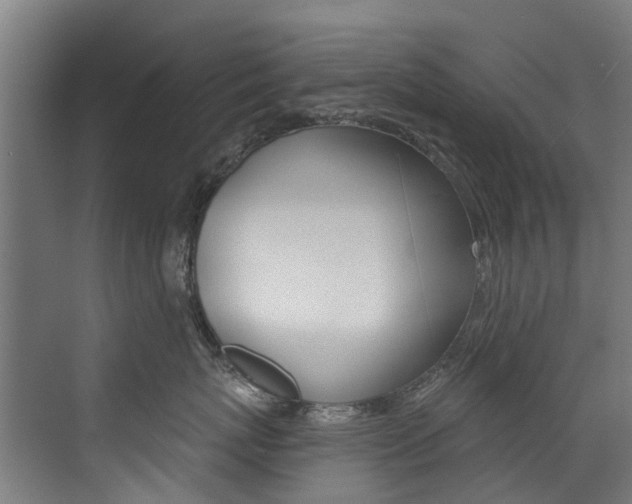 X0000072970767200607211030