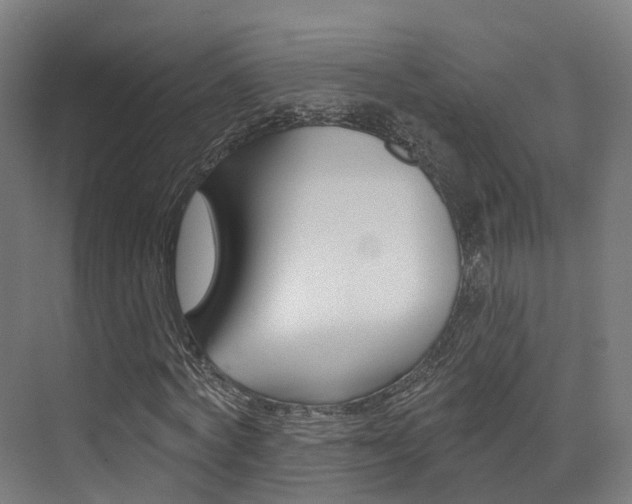 X0000072970772200607211029
