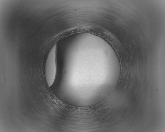 X0000072970773200607211029