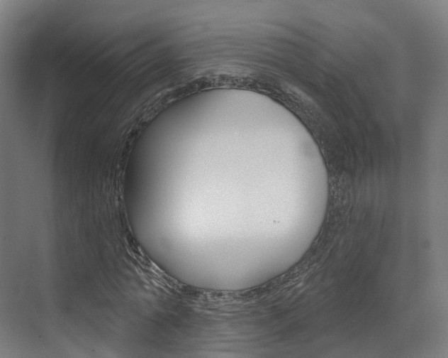 X0000072970774200607211029