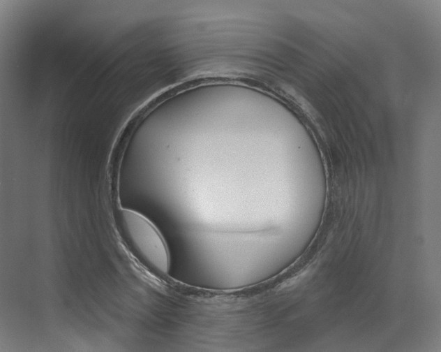 X0000072970779200607211029