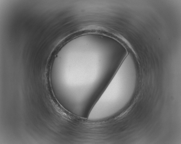 X0000072970783200607211029