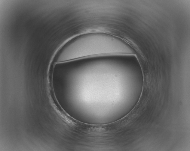 X0000072970784200607211029