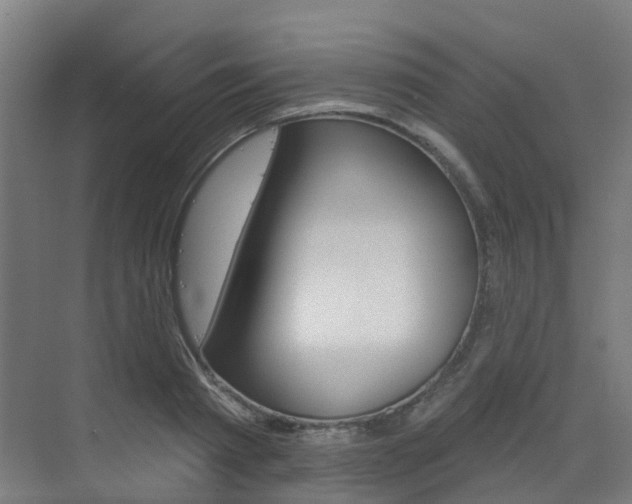 X0000072970793200607211029