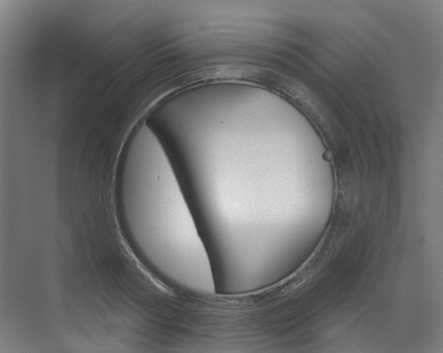 X0000072970794200607211029