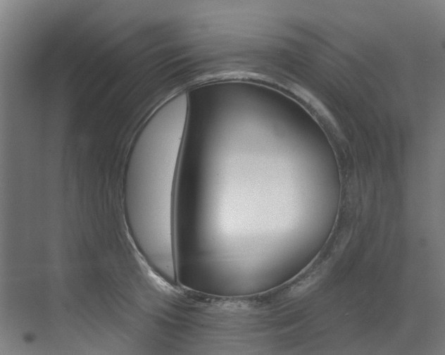 X0000072970801200607211029