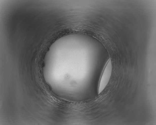 X0000072970817200607211028