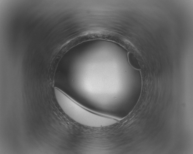 X0000072970822200607211028