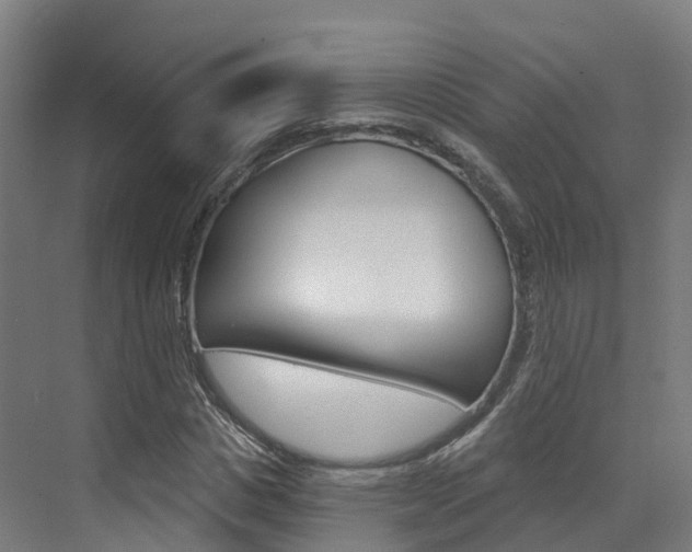 X0000072970825200607211028