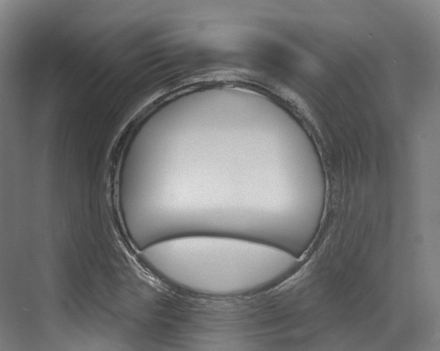 X0000072970827200607211028