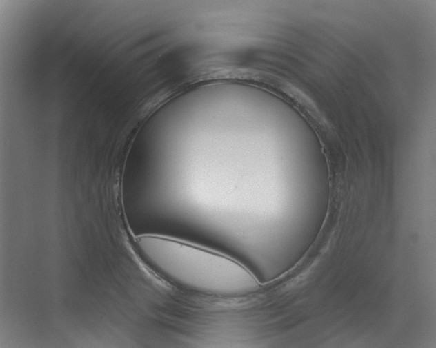 X0000072970841200607211028