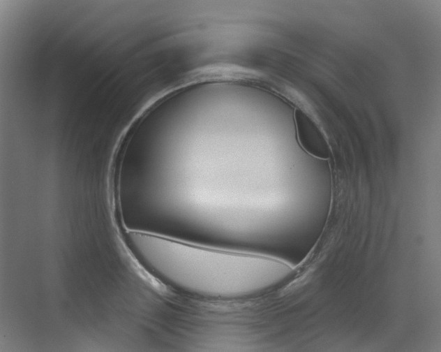 X0000072970843200607211028
