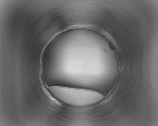 X0000072970844200607211028
