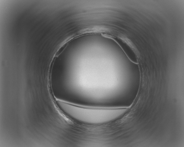 X0000072970850200607211028