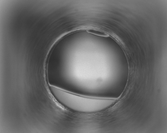 X0000072970854200607211028