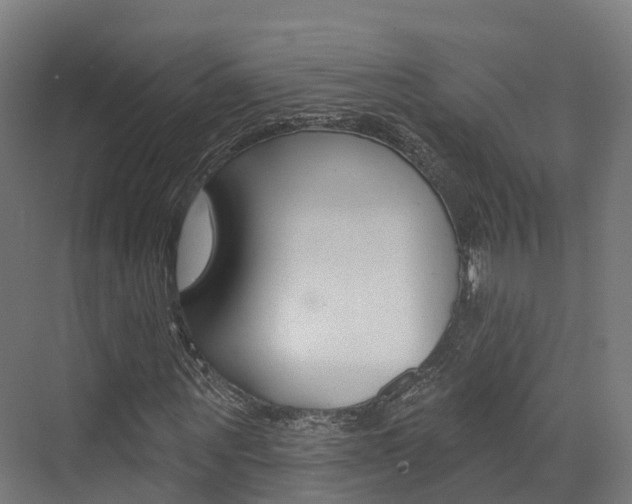 X0000072970867200607211028