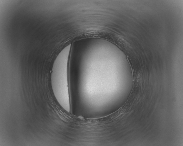 X0000072970868200607211028