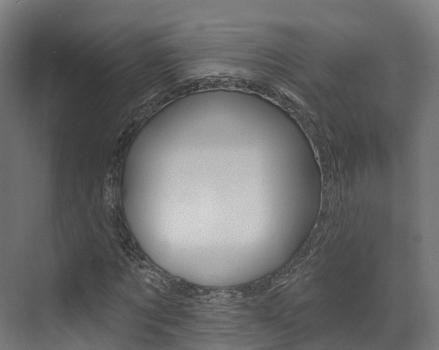 X0000072970869200607211028