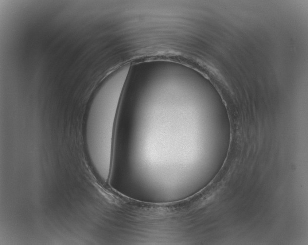 X0000072970881200607211028