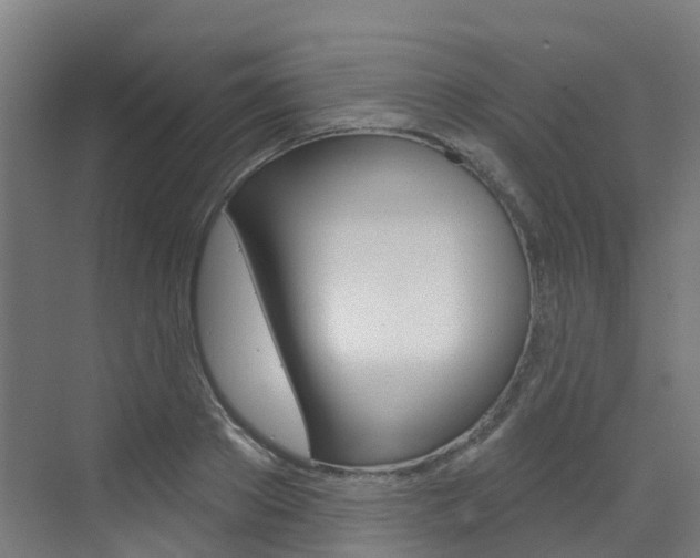 X0000072970889200607211027