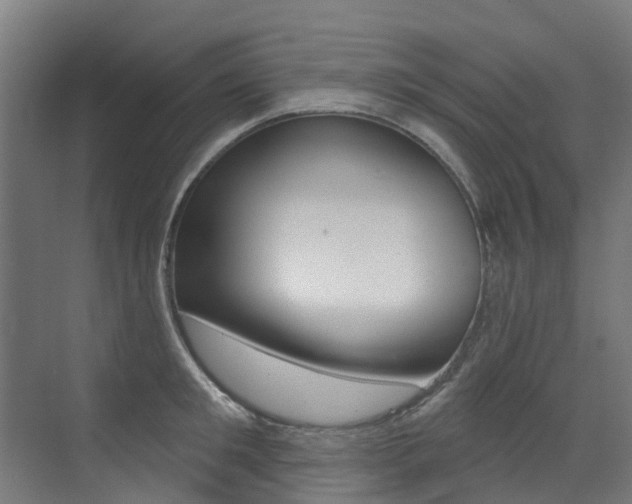 X0000072970901200607211027