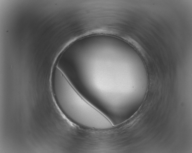 X0000072970902200607211027
