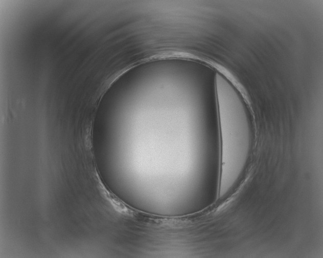 X0000072970905200607211027