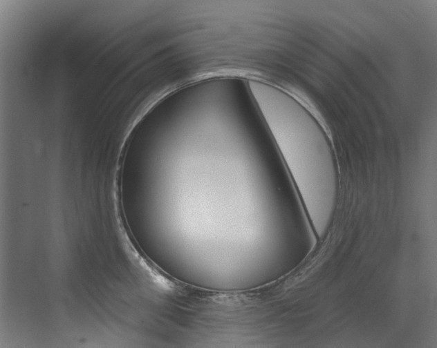 X0000072970906200607211027