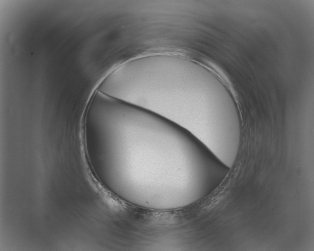 X0000072970907200607211027