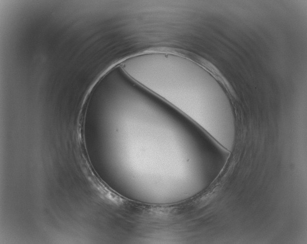 X0000072970908200607211027