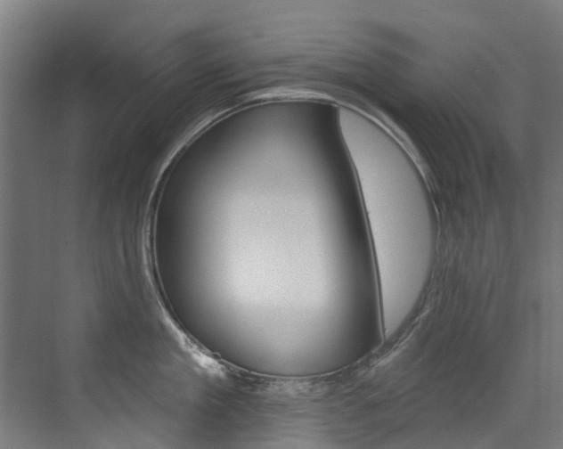 X0000072970909200607211027