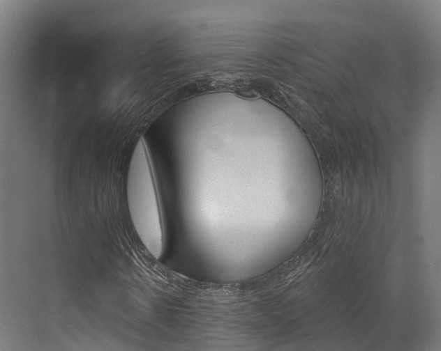 X0000072970914200607211026