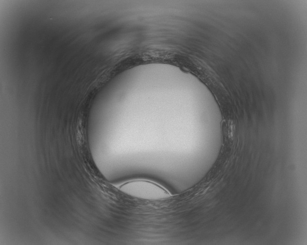 X0000072970915200607211026