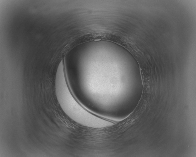 X0000072970916200607211026