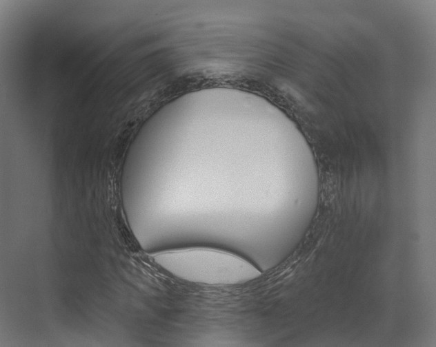 X0000072970917200607211026