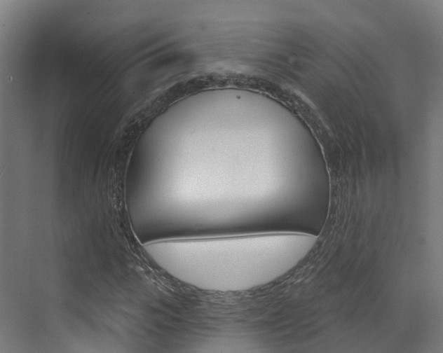 X0000072970919200607211026