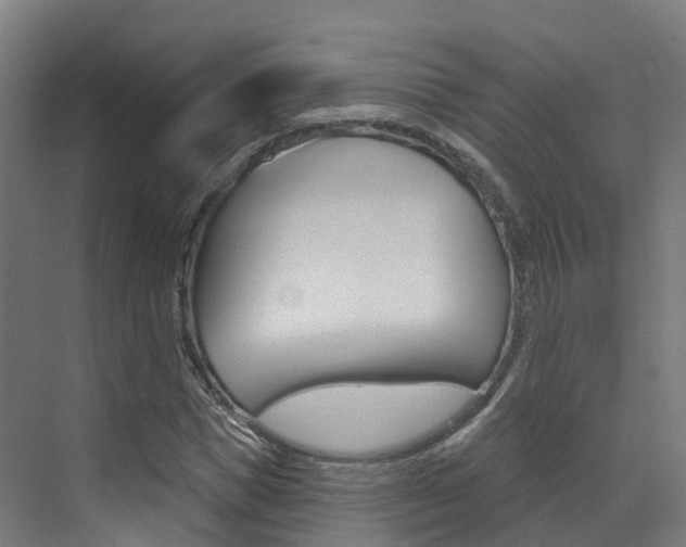 X0000072970921200607211026