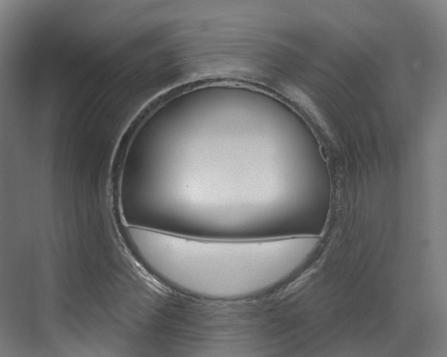 X0000072970924200607211026