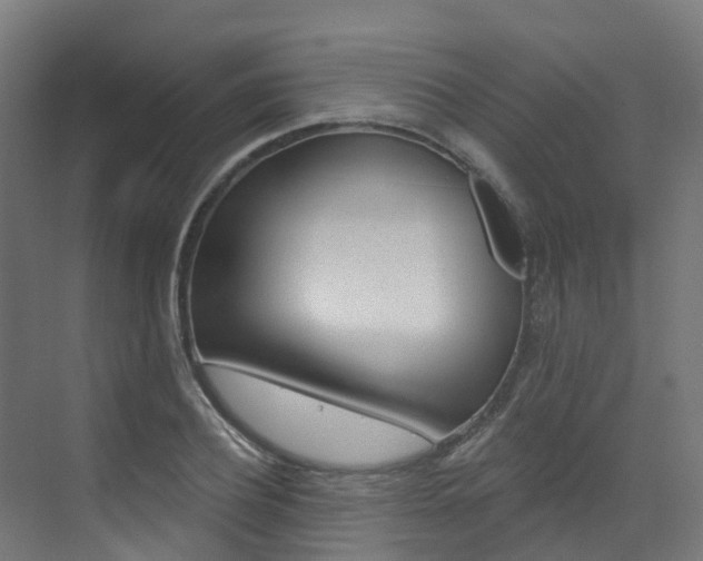 X0000072970932200607211027