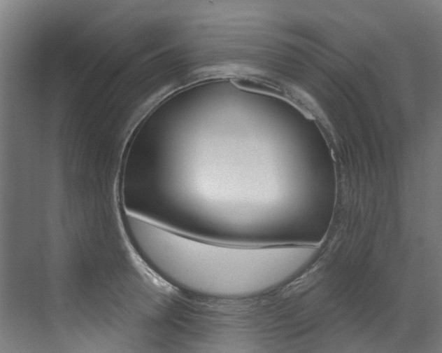X0000072970946200607211027
