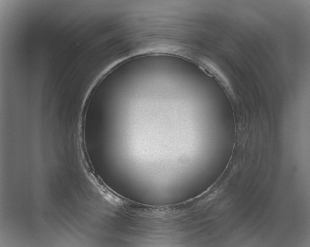 X0000072970948200607211027