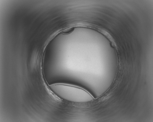 X0000072970954200607211027
