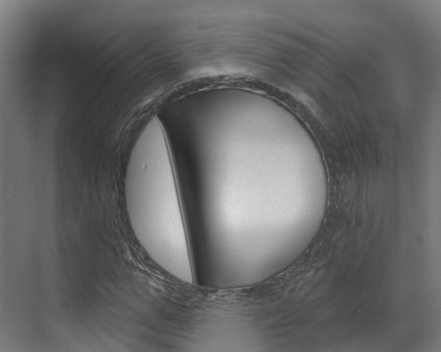 X0000072970967200607211026