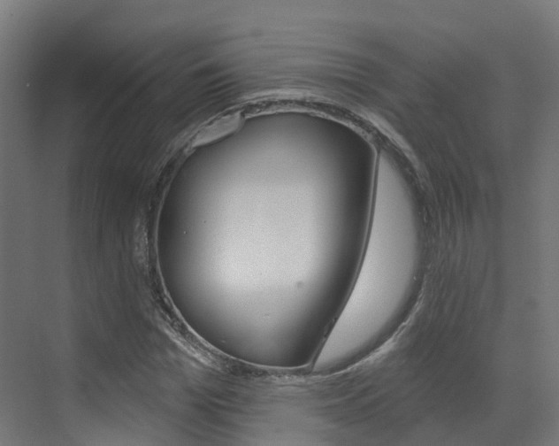 X0000072970969200607211026