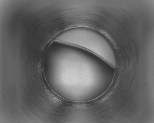 X0000072970977200607211026