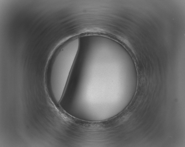 X0000072970979200607211026