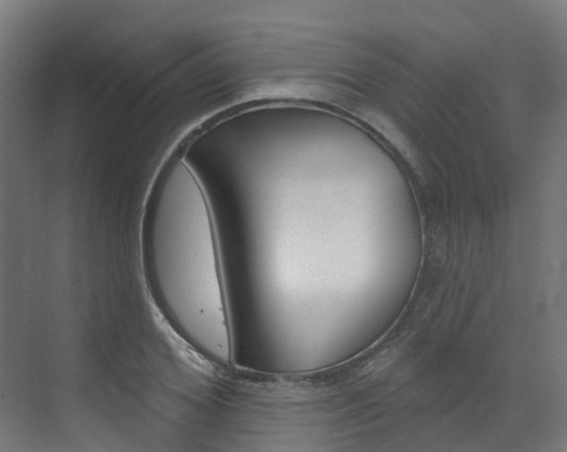 X0000072970980200607211026