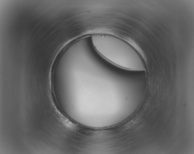 X0000072970988200607211026