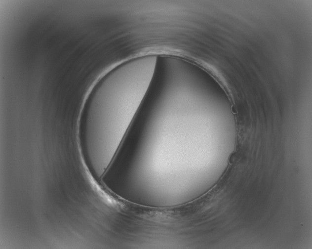 X0000072970995200607211026